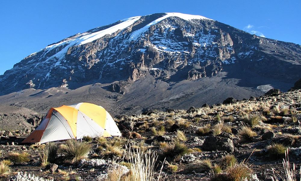 6 Days Mount Kilimanjaro Climbing Tour